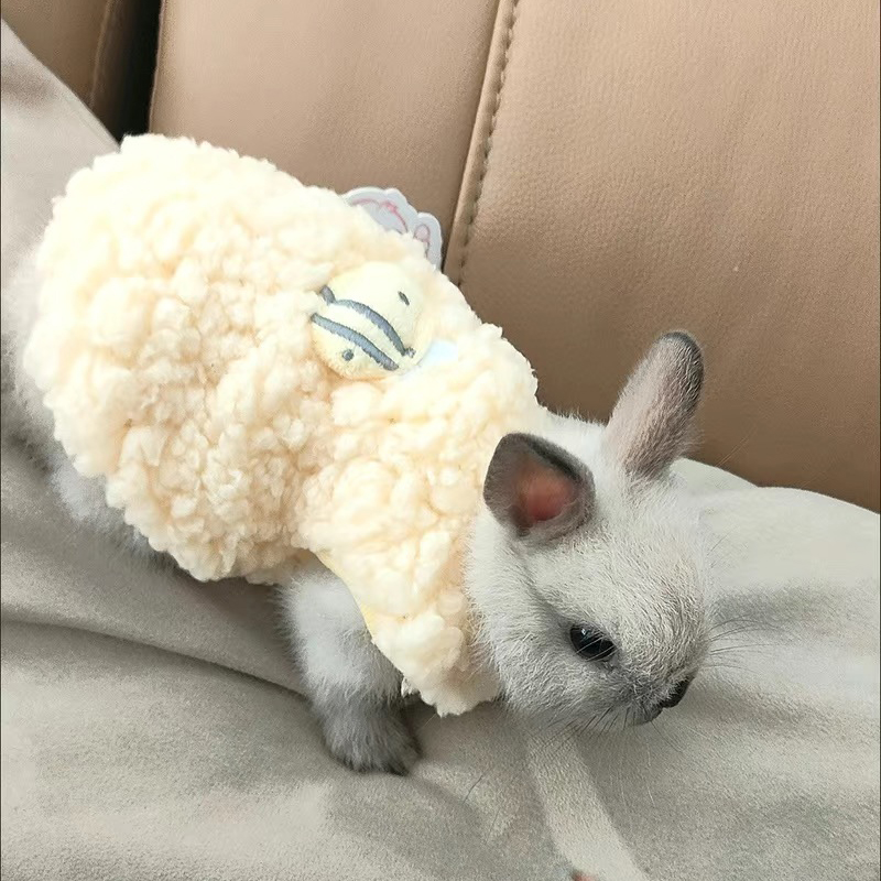 Winter Clothing Newborn - Pull chaud d'hiver pour lapins, chinchillas,